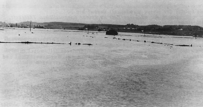 Hochwasser im Juli 1954 am Sportplatzgelände